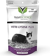 August Maine Coon Kittens