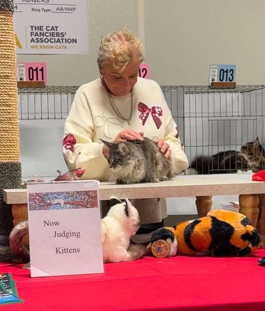 Abbey showing in neosho, missouri