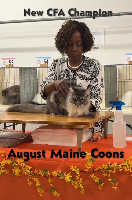 Champion Abbey at show in Gardner, Kansas
