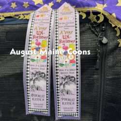 Ribbons!