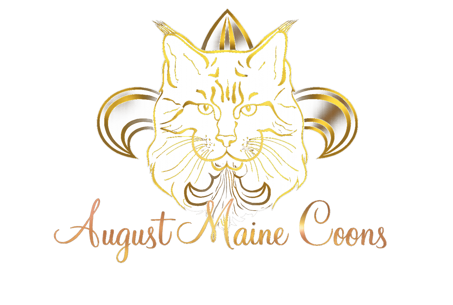 August Maine Coons
