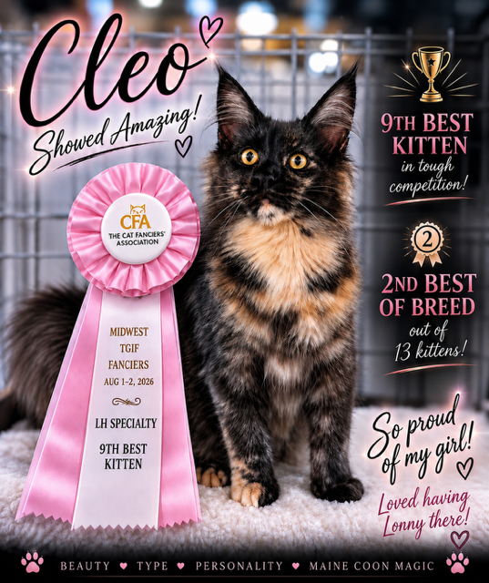 Cleo 4 months old