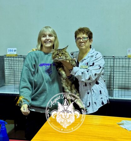Edgar 4th Best Longhair under judge Adriana Kajon