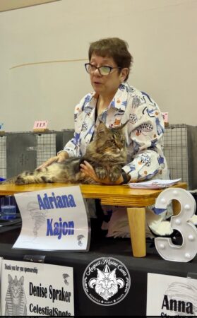 Edgar 4th Best Longhair under judge Adriana Kajon